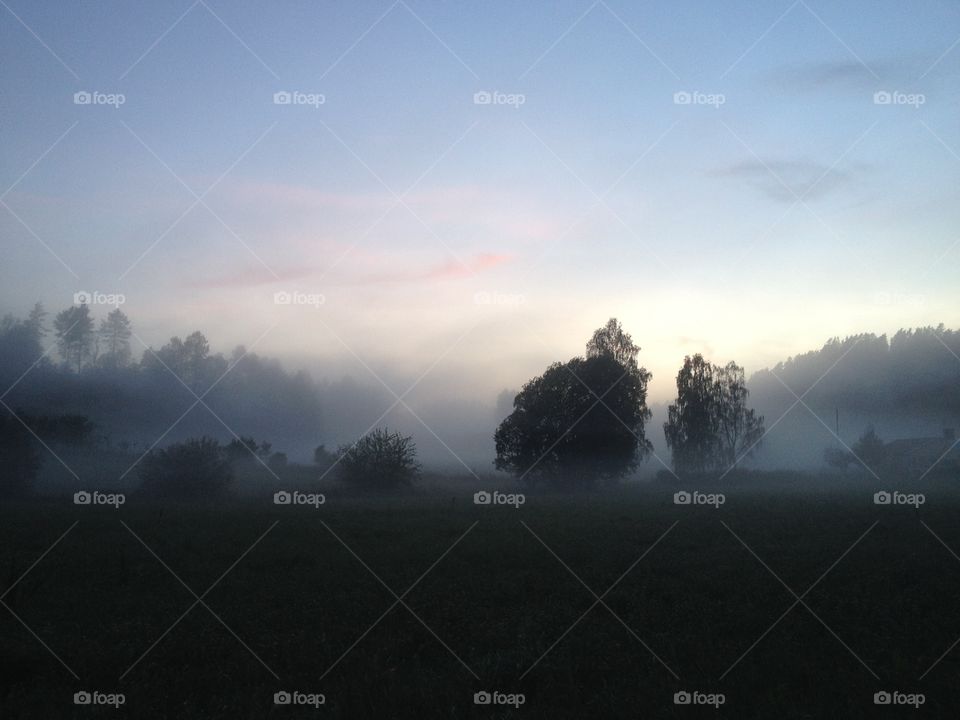 Fog in the evening