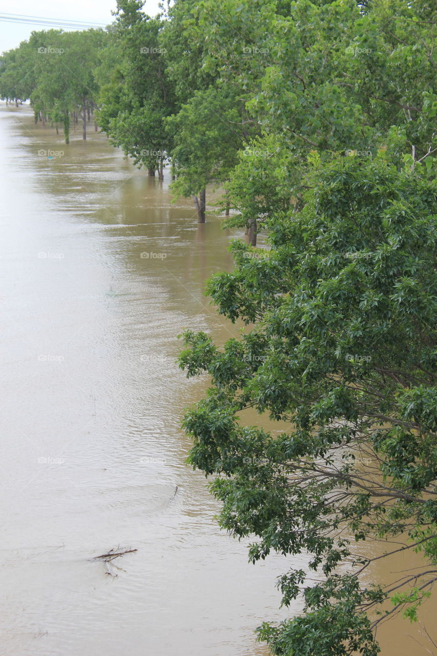 Who opened the flood gates?. Flooded trinity river in Dallas Texas 