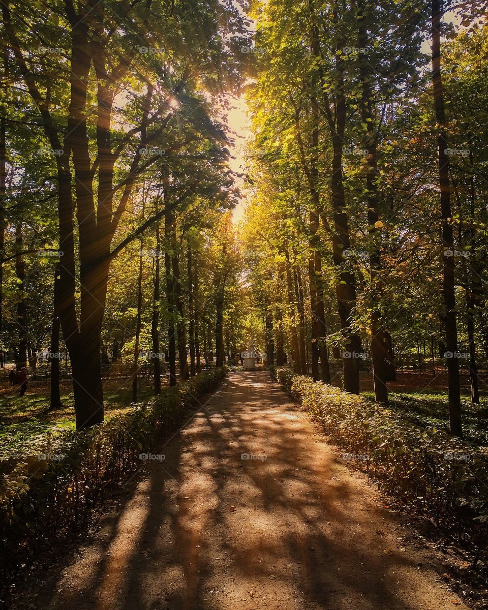 In the park