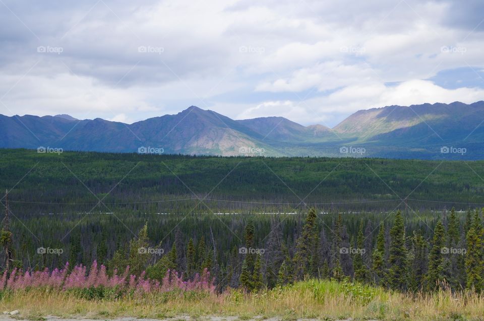 Alaskan View with visible pipeline