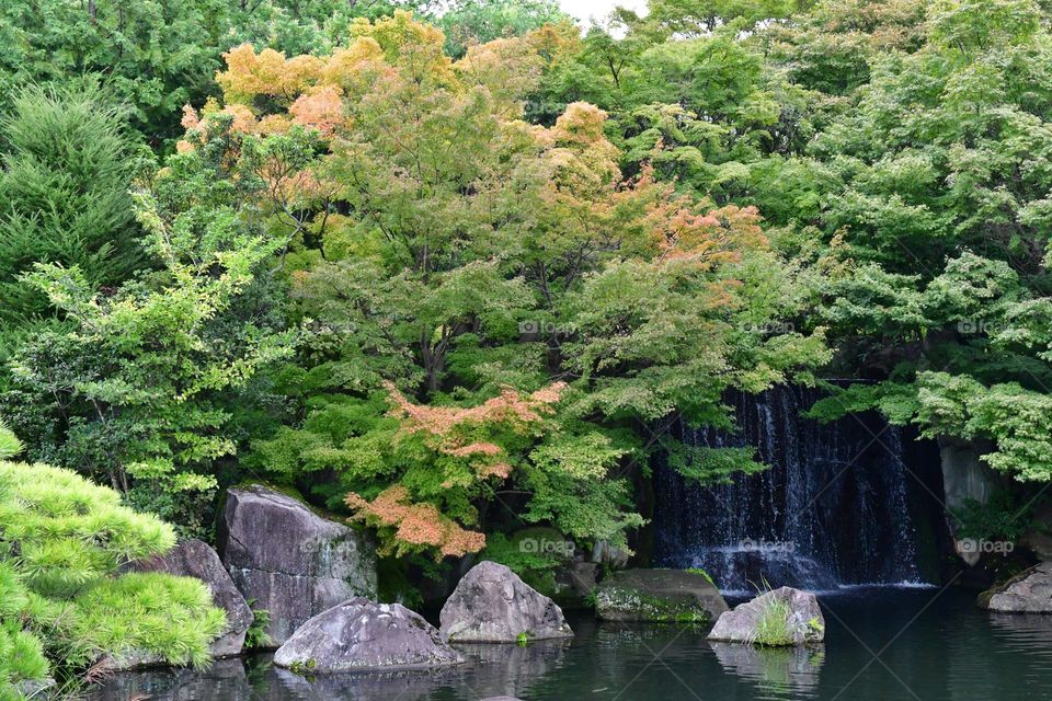 Beautiful Japanese garden