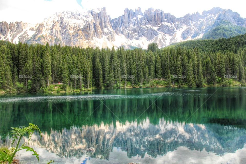 Forest reflected on lake of Carezza