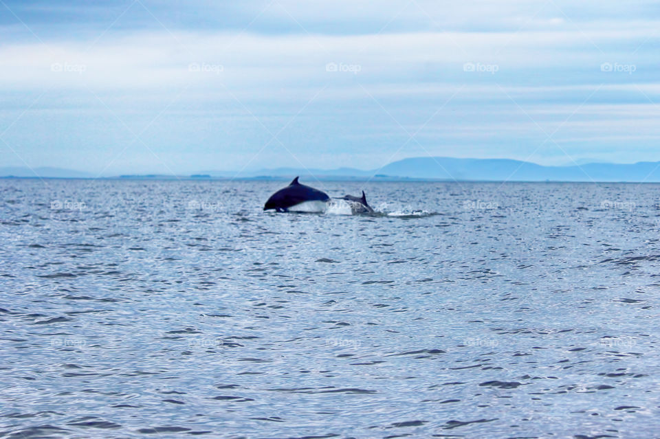 Firth of Tay, Scotland 