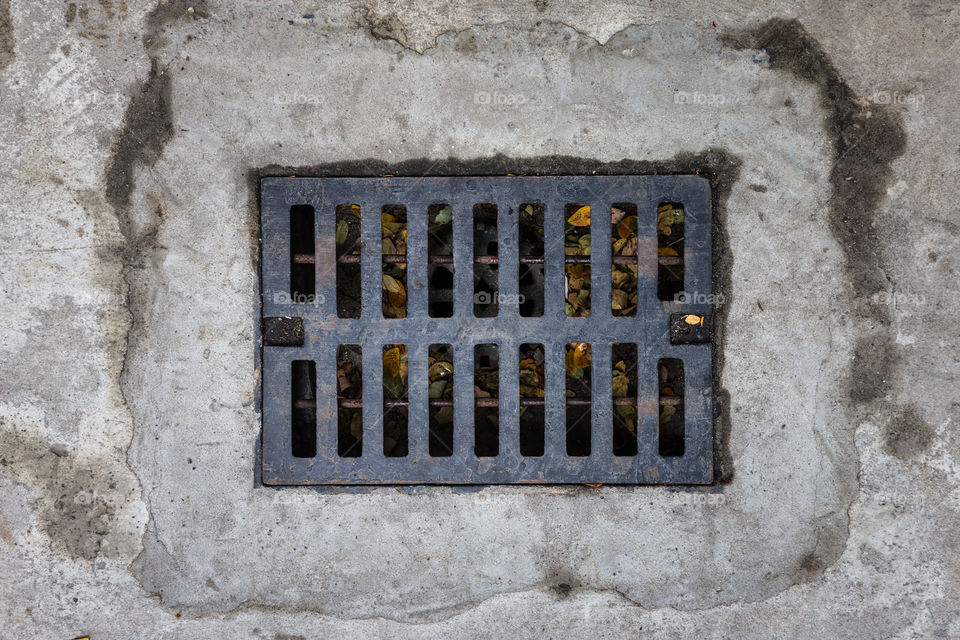 Sewer drain