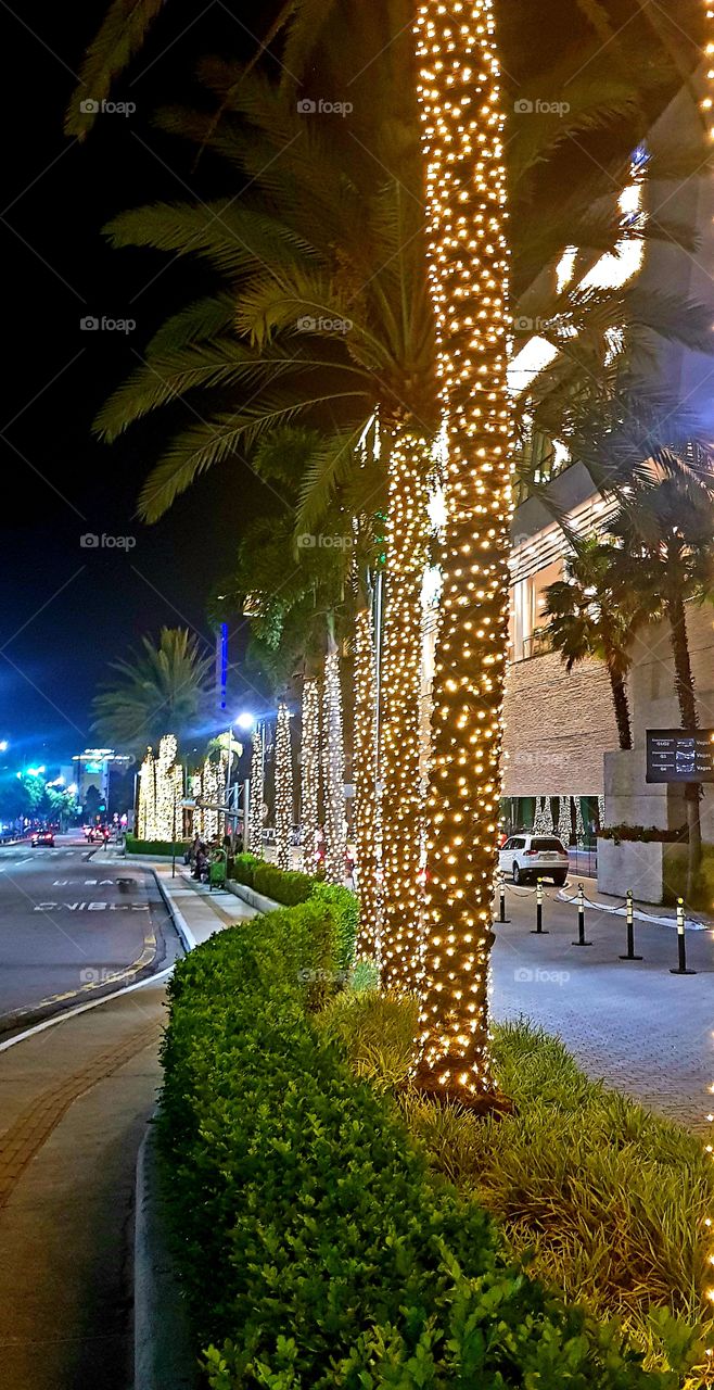 Christmas lights! Luzes de Natal!!