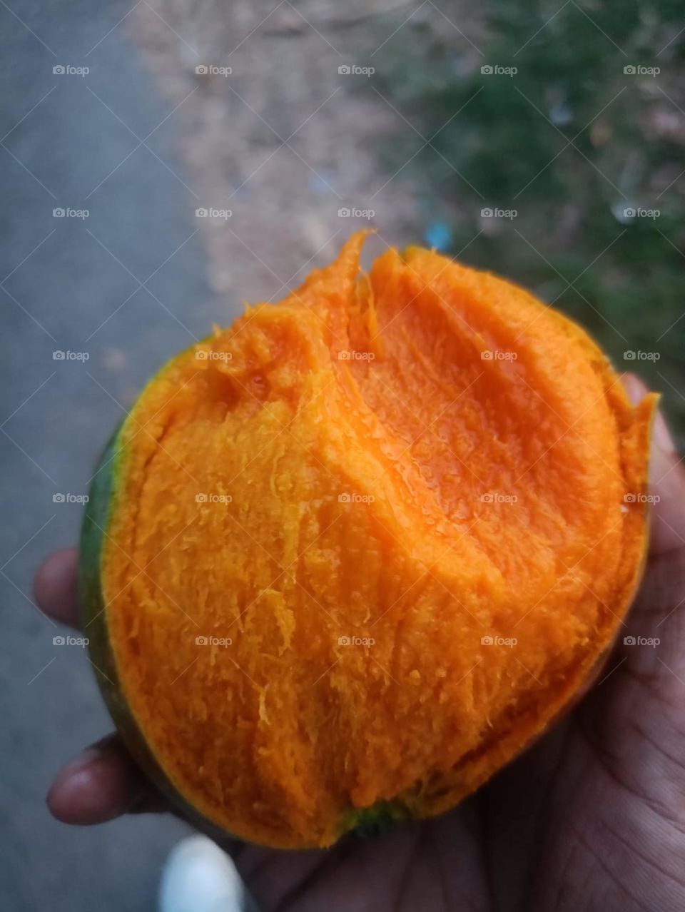 fresh mango