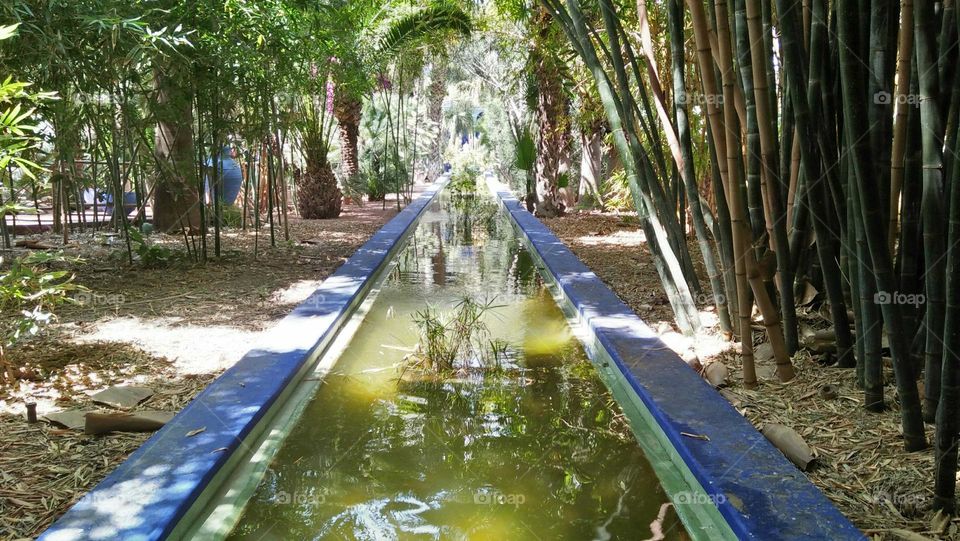 beautiful  majorelle garden