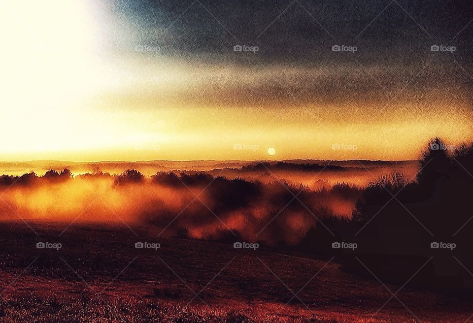 Autumn's Beginning Fog