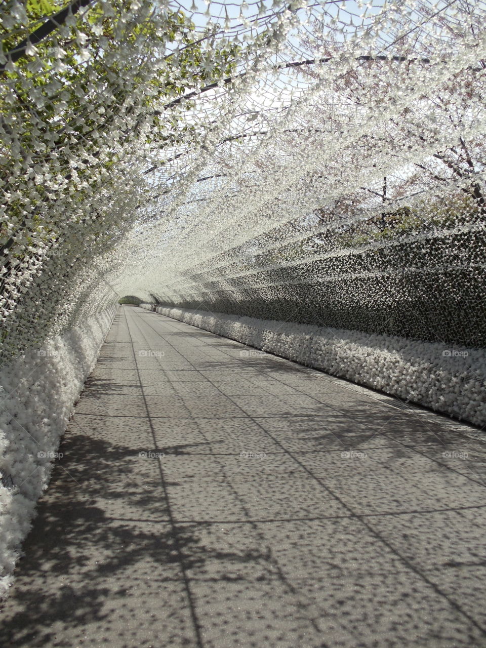 Tunnel of Flowers