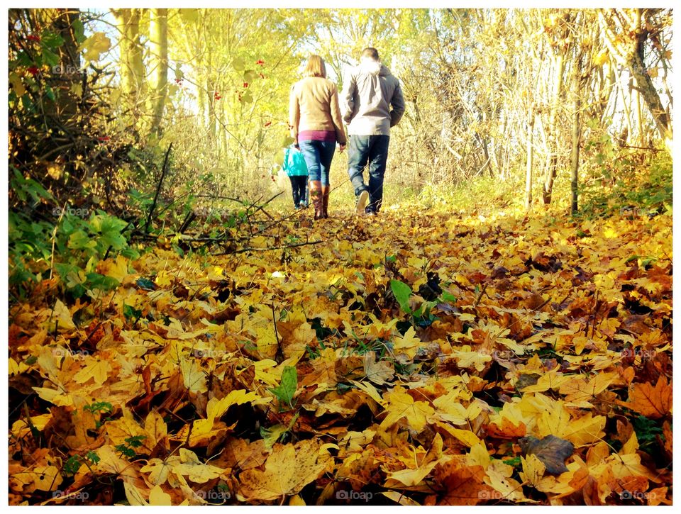 Autumn Stroll. An autumnal walk near Mexborough, South Yorkshire. 