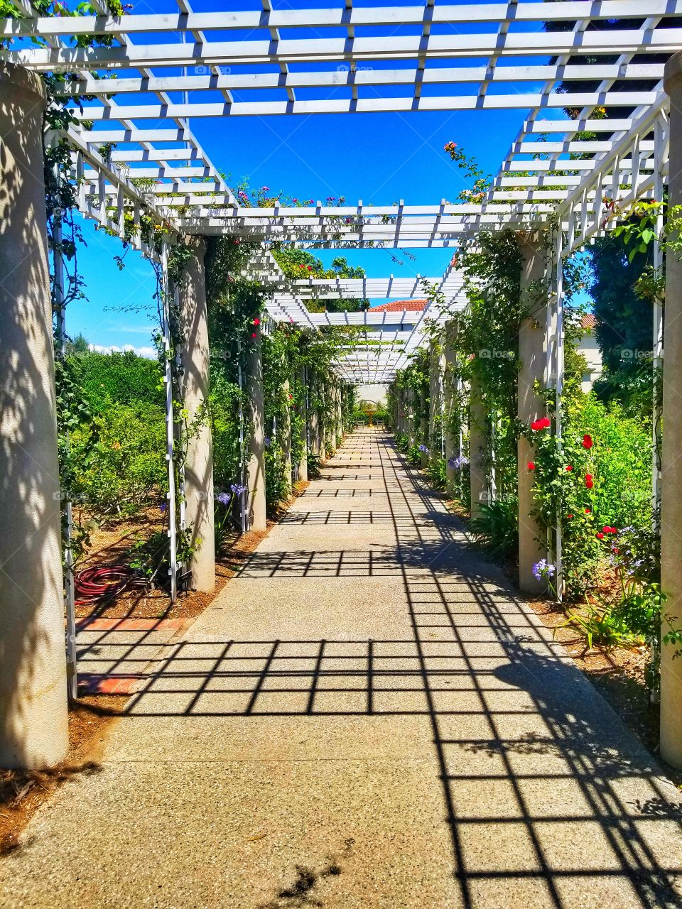 Geometry With Nature