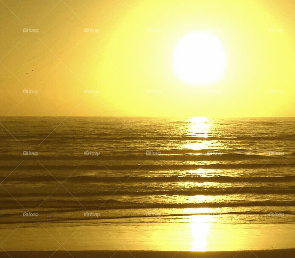 Golden ocean sunset