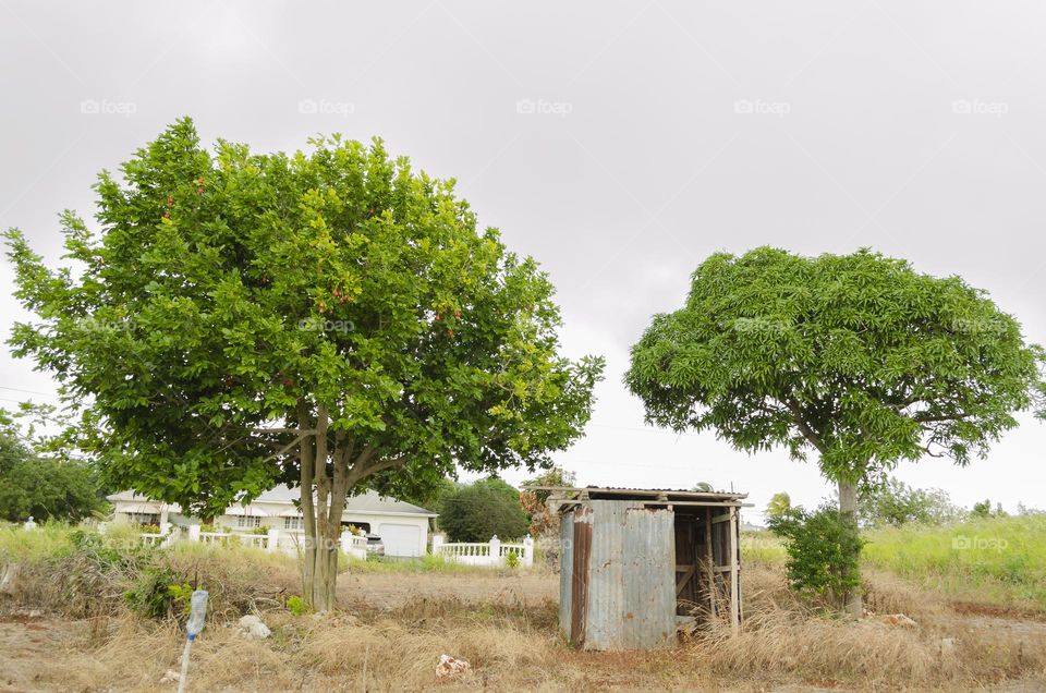 Garden Zinc Hut