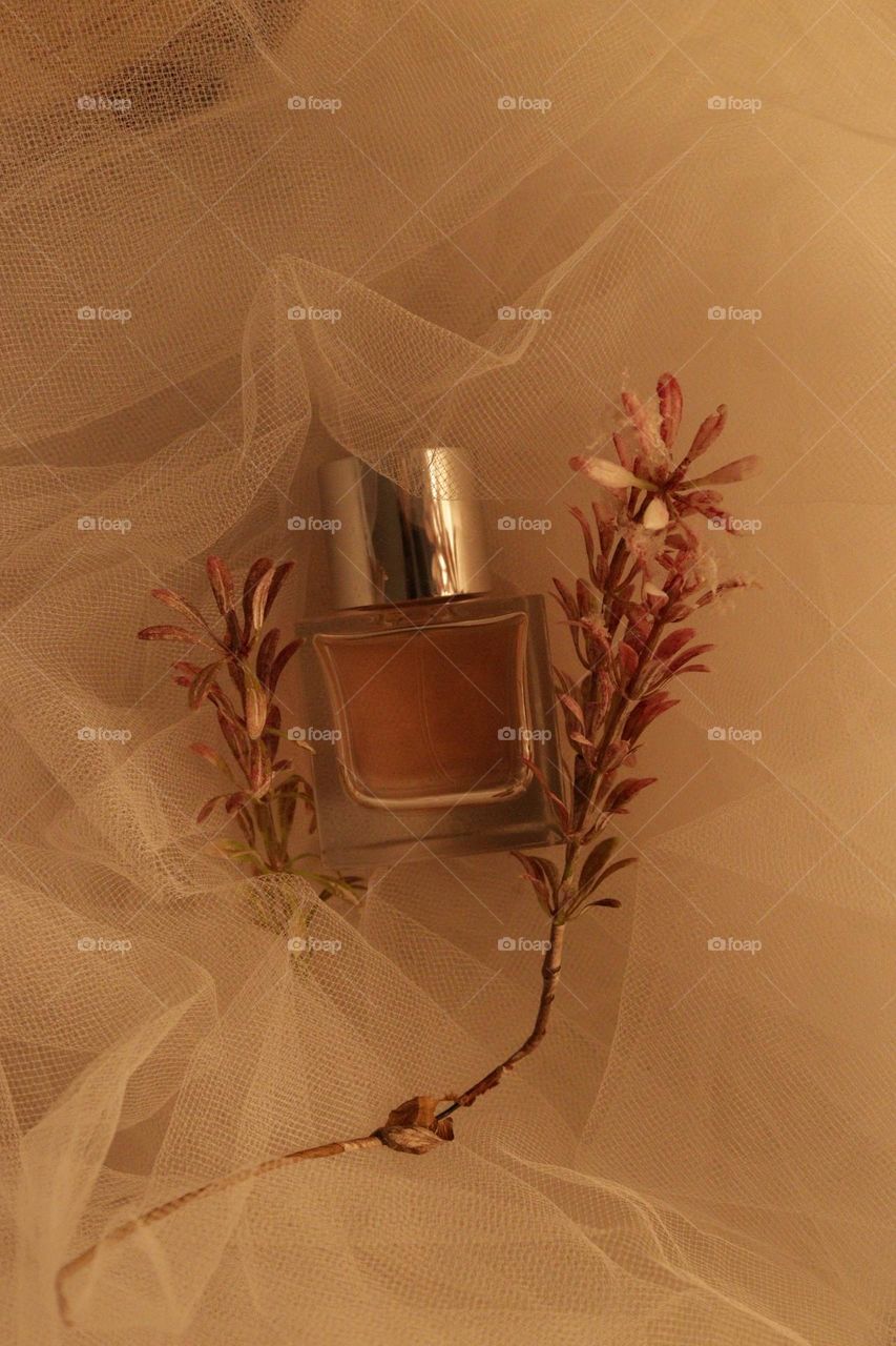 Tender Touch of Fragrance of Perfume