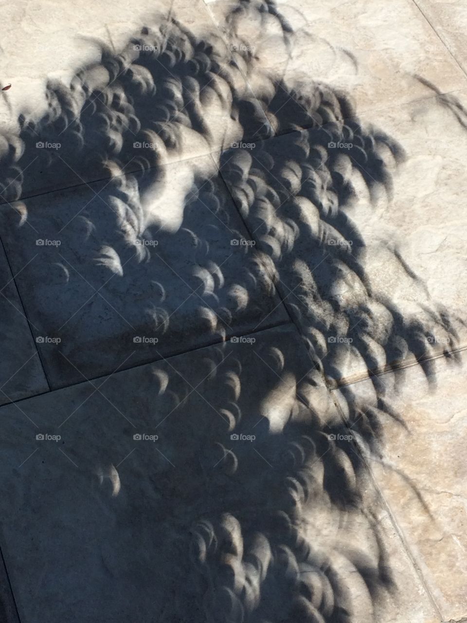 Eclipse shadows 