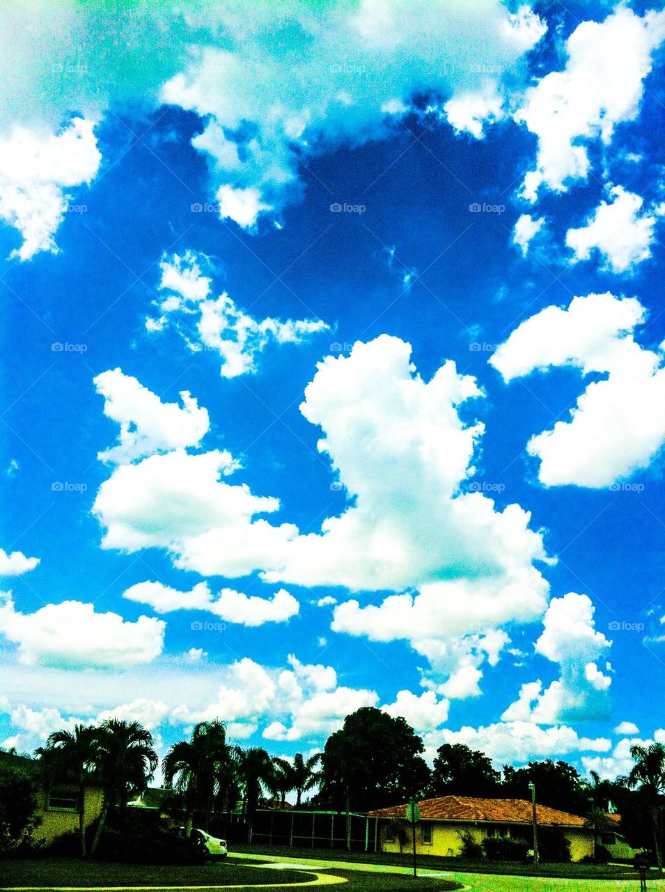 Summer clouds