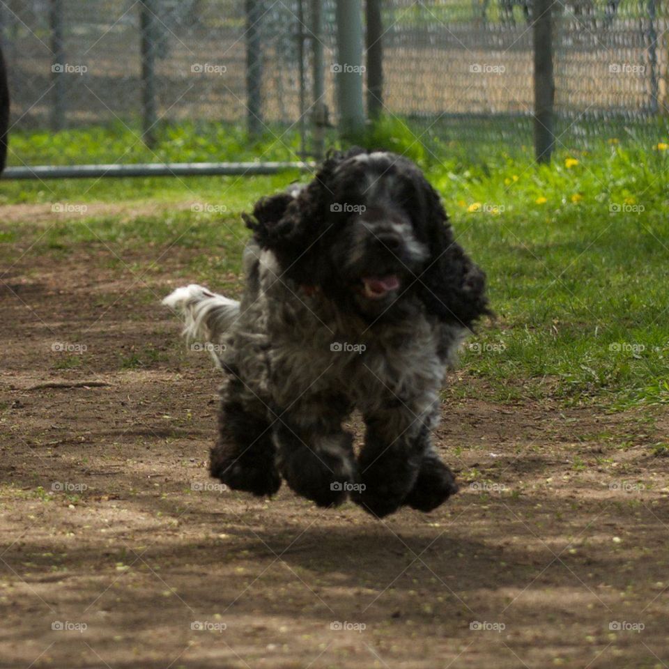 Look at me I can float !