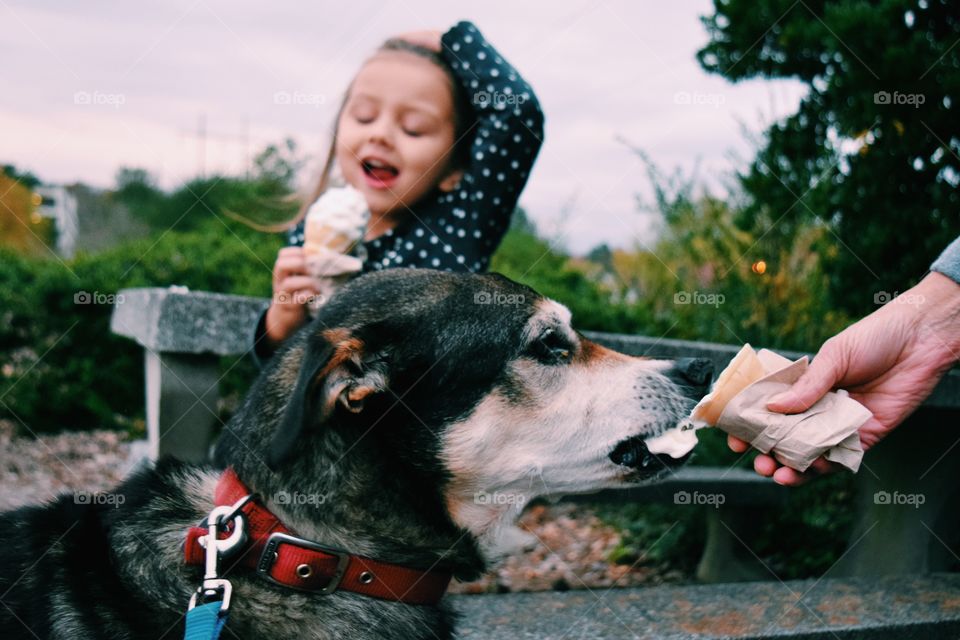 Dog, One, Portrait, People, Outdoors