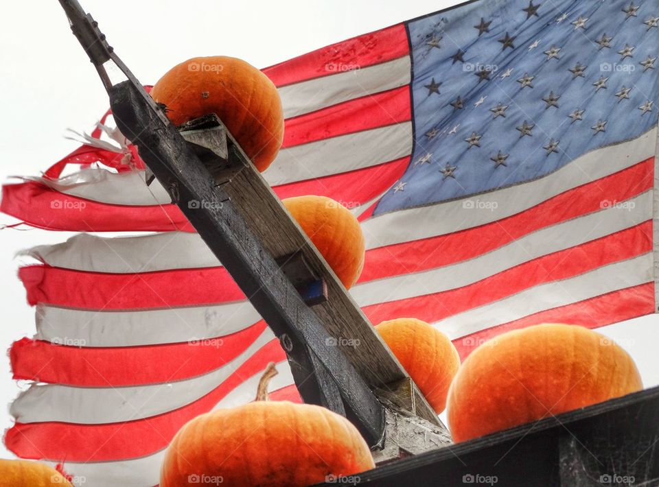 Patriotic Pumpkins