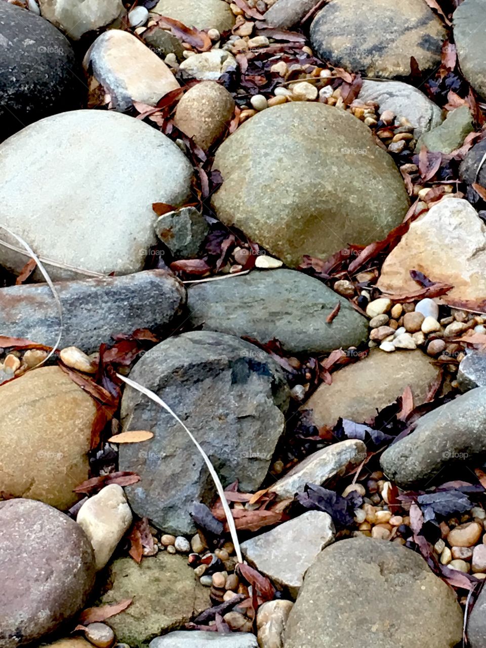 Pebbles and stones after rain