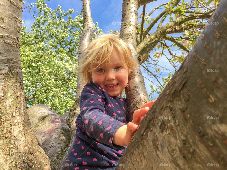 Cute girl sitting on tree trunk