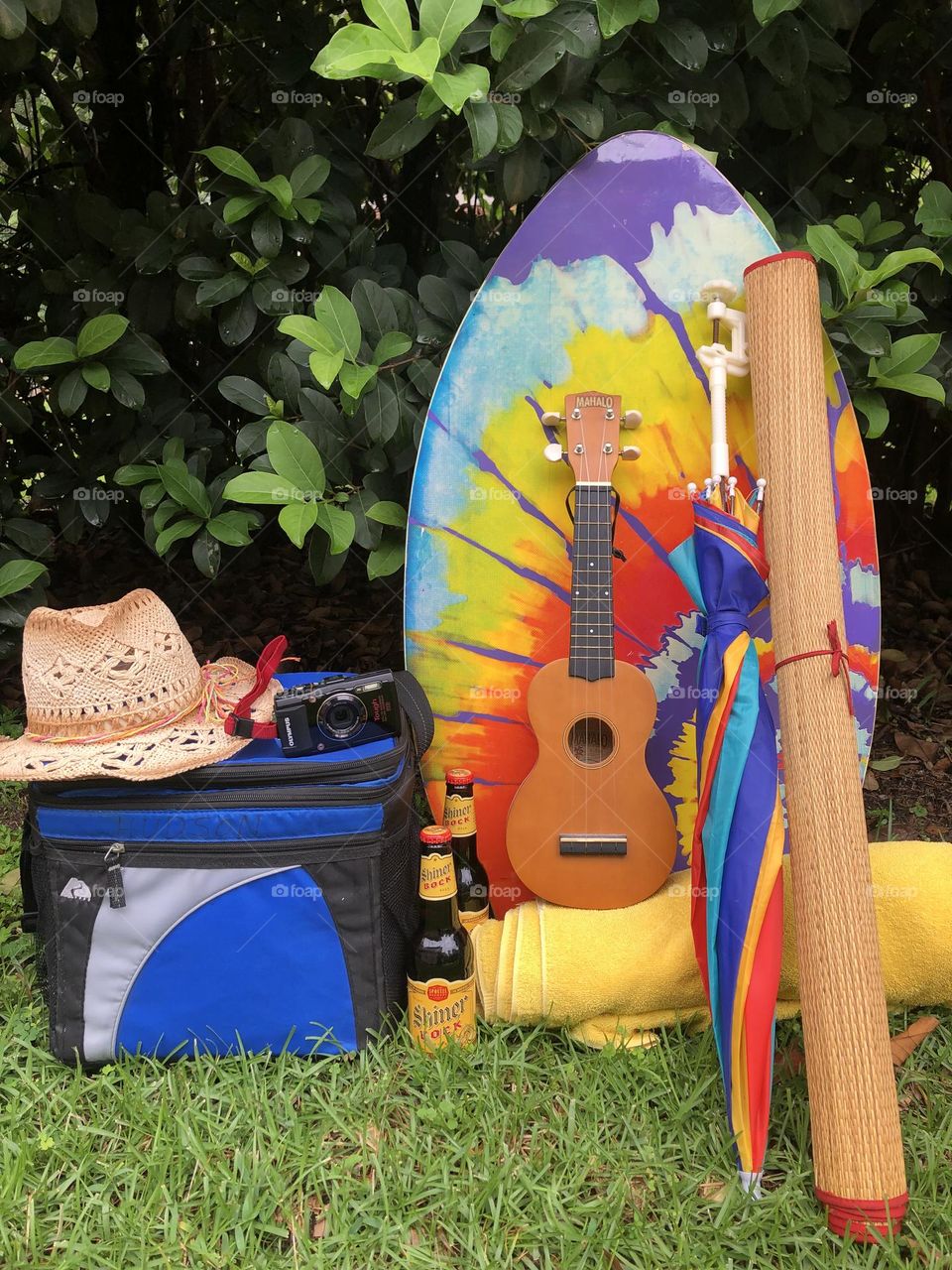 Must have fun at beach with cooler snack beer camera hat bodyboard ukulele towel mat umbrella 