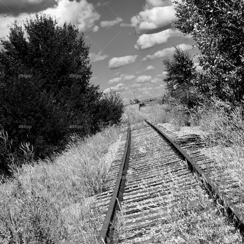 The tracks of my childhood 