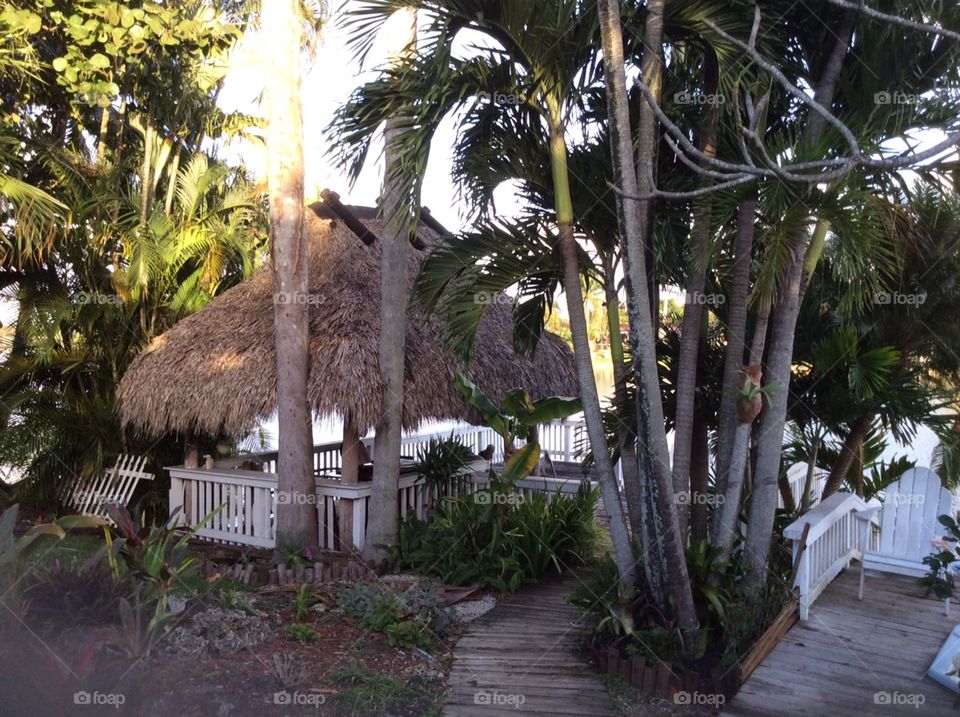 tropical setting with hut on lake