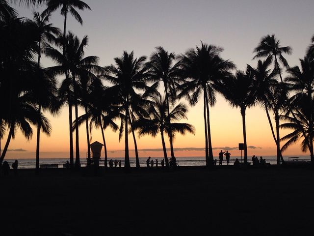 Evening