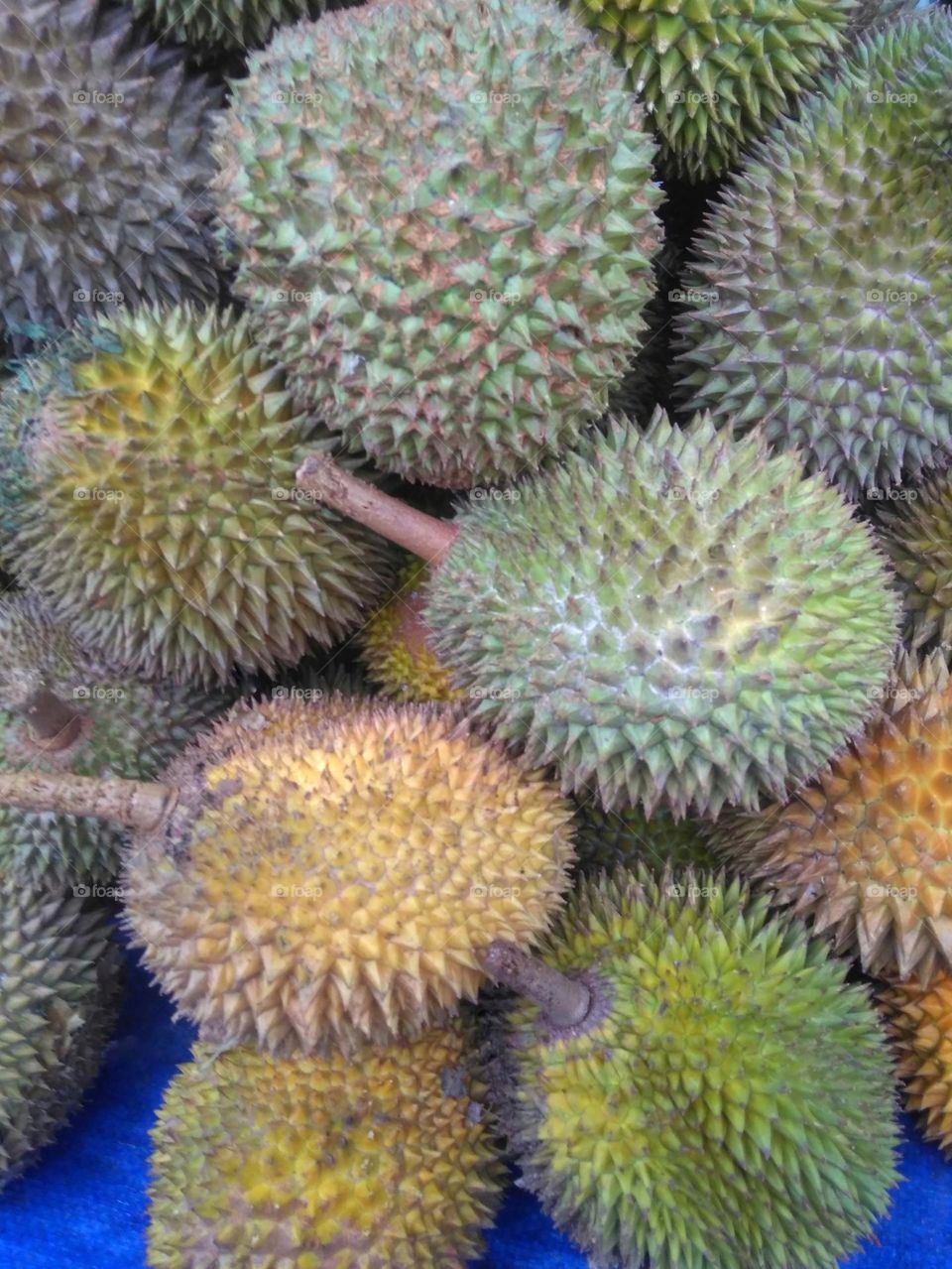 Fresh durian fruit on market