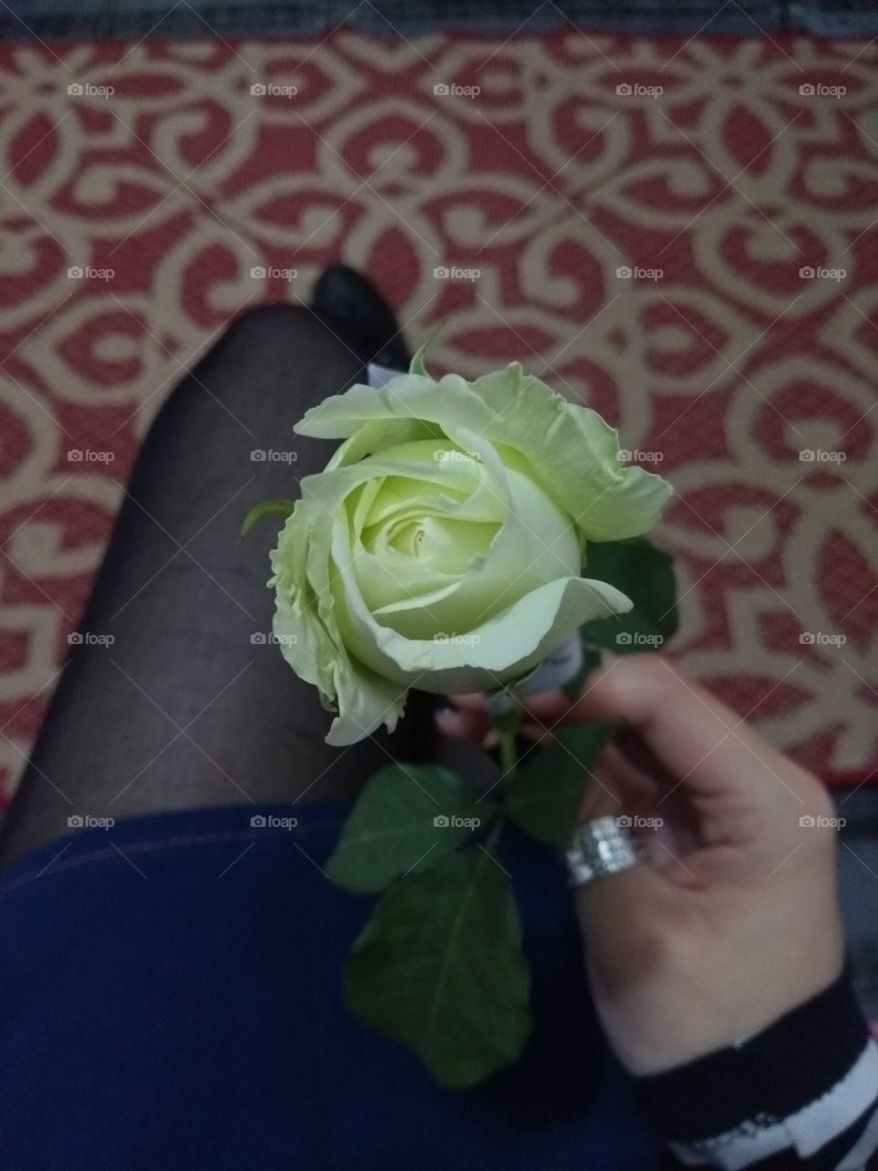 holding the white rose