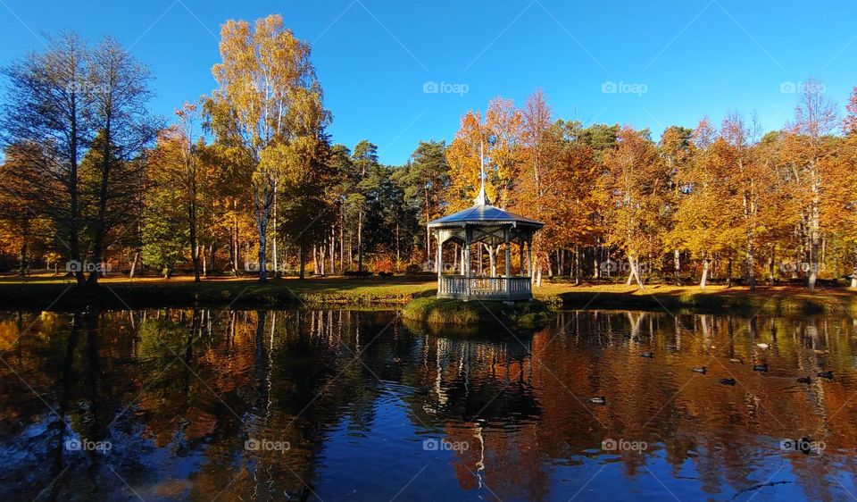 Autumn landscape 🍂🍁 Reflection 🍂🍁 Outdoor 🍂🍁 Wonderful nature 🍂🍁