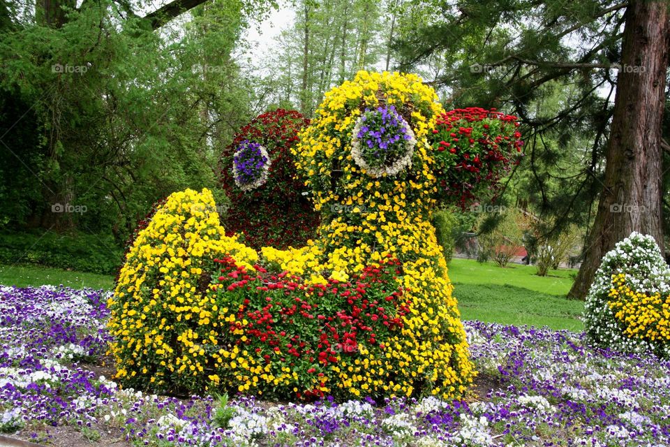 flower ducks