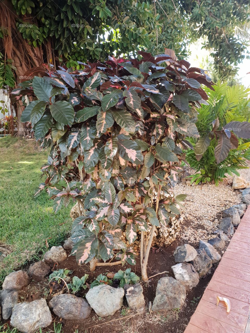 Hotel Iberostar Varadero