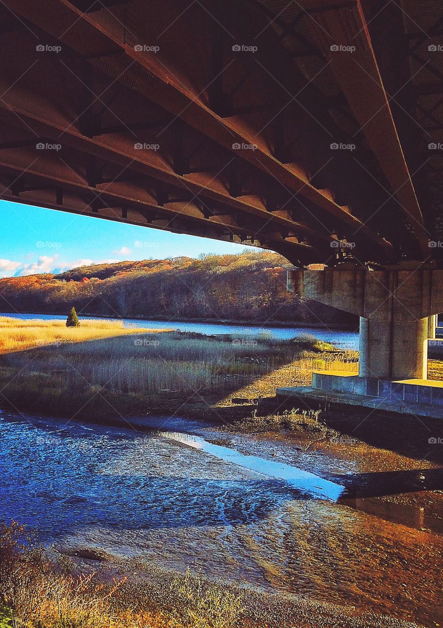 Housatonic Estuary Walk 