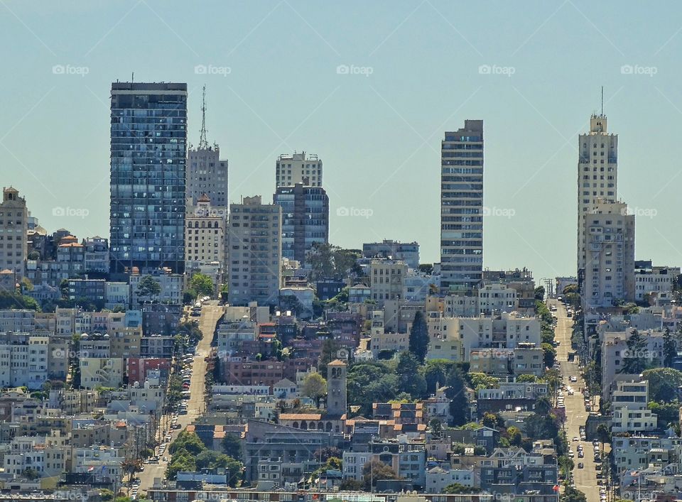 San Francisco Skyline. Downtown San Francisco Buildings Of Financial District And Embarcadero

