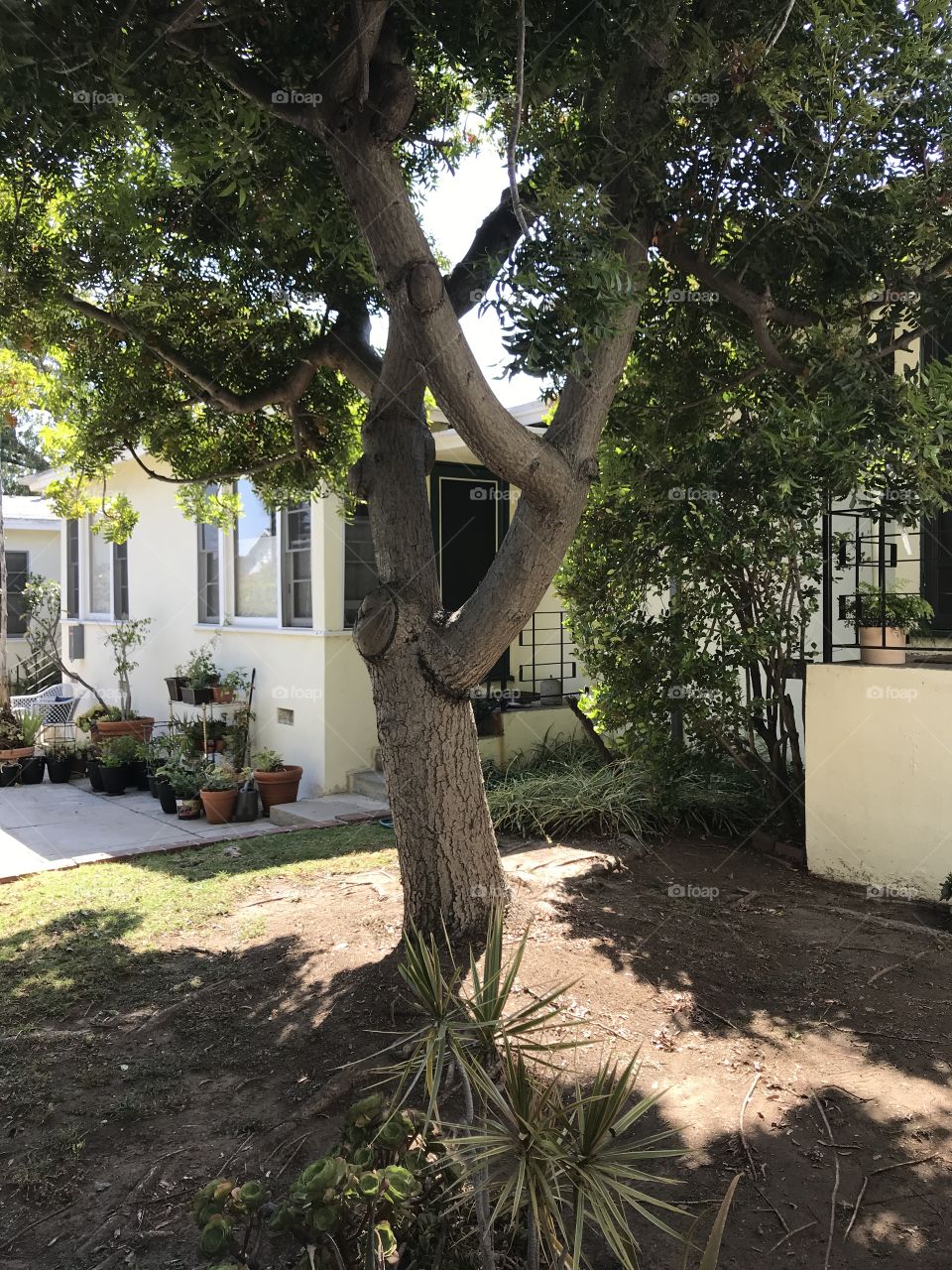 Santa Monica cottage 