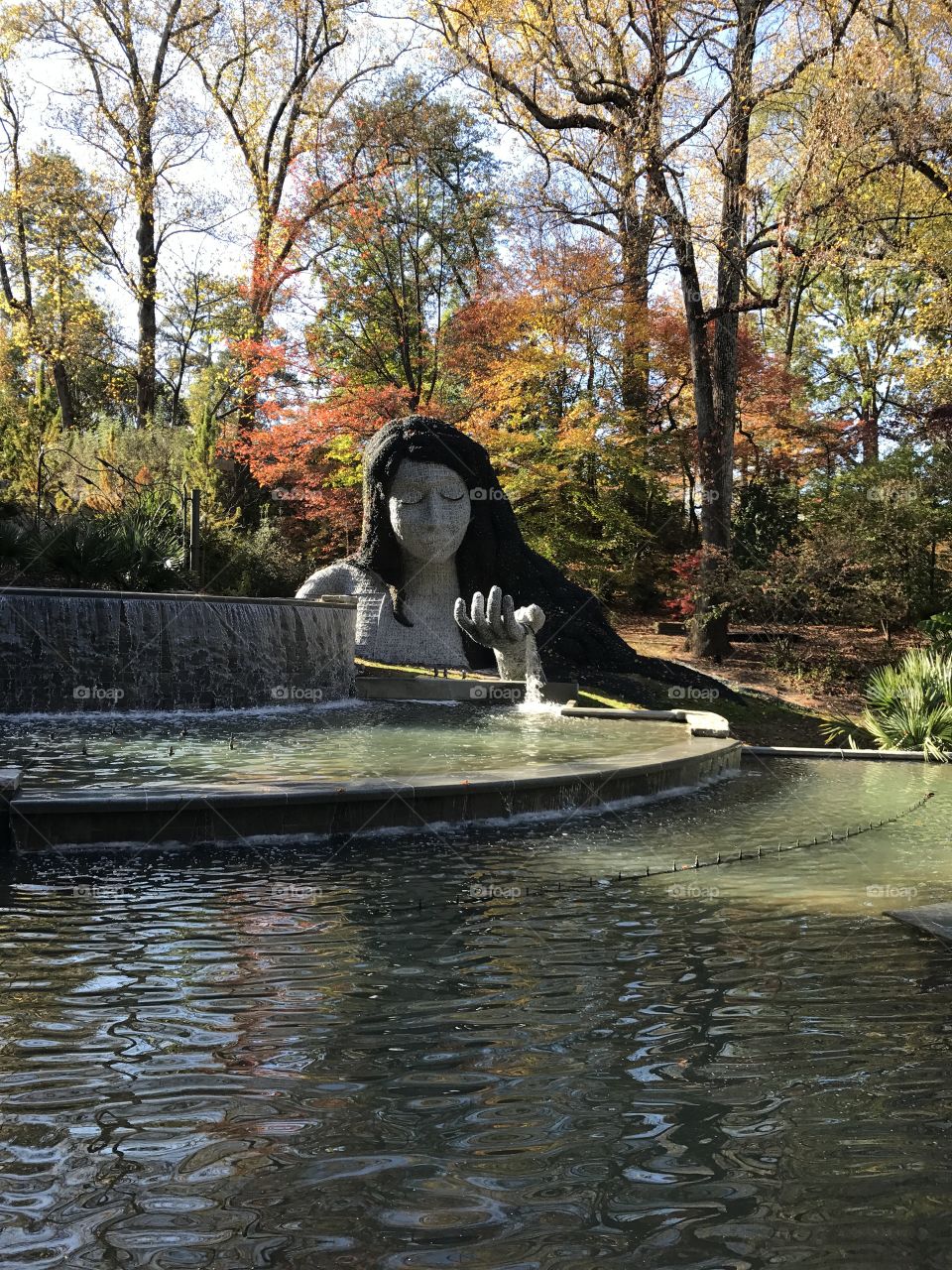 Atlanta Botanical Gardens | Atlanta, GA