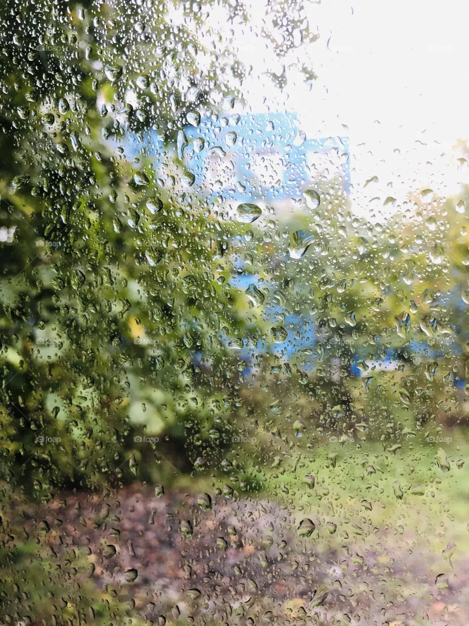 Rain