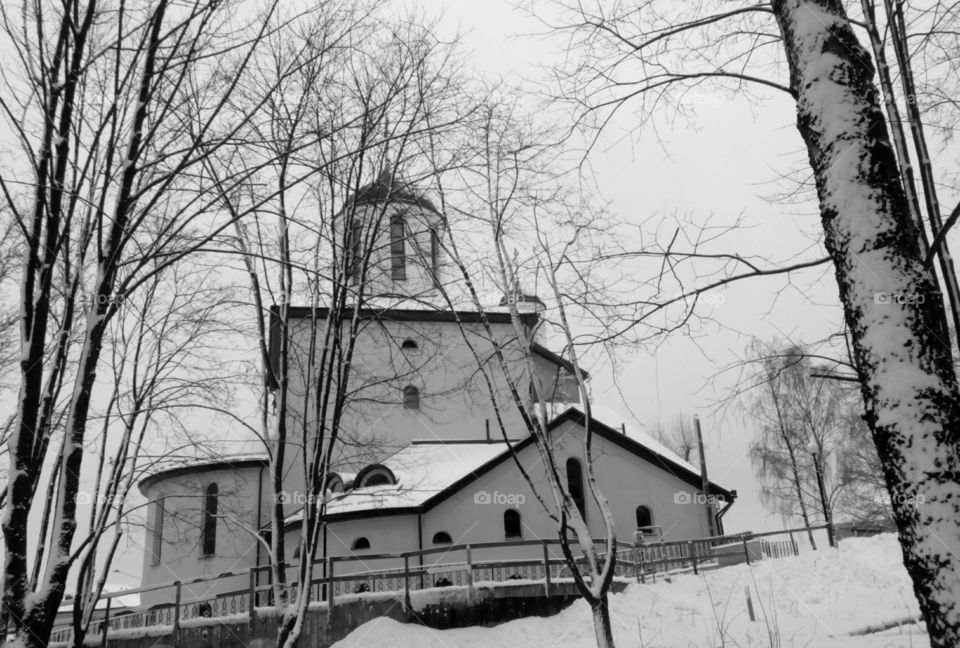 Winter, Snow, No Person, Wood, Tree