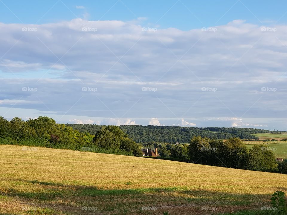 seen from the fields walk in nature