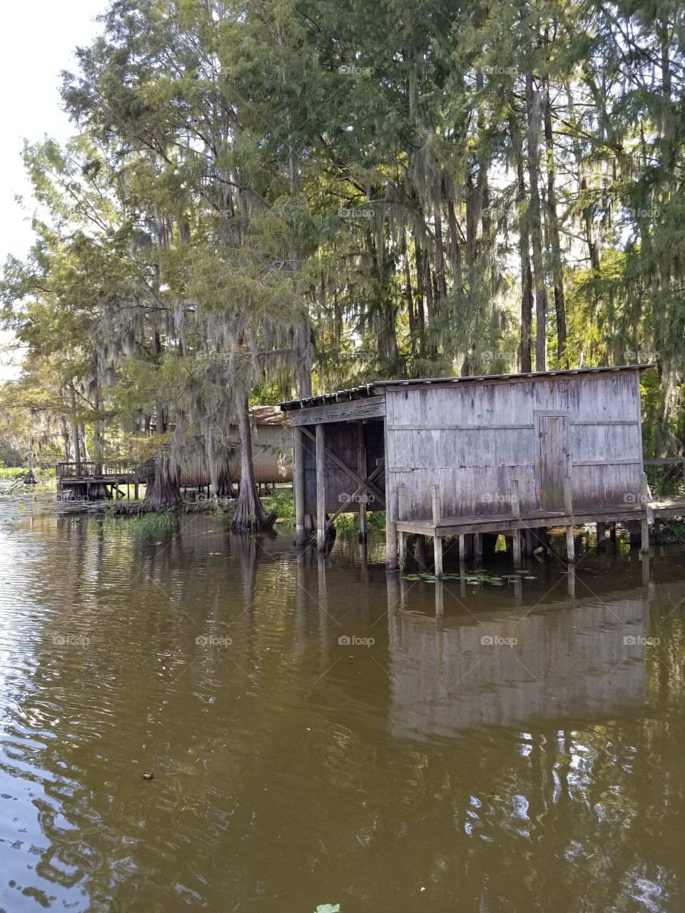 Caddo Lake Boat House
