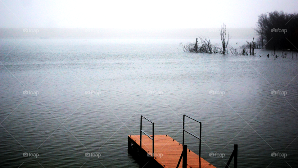 Boat dock and foggy lake with trees