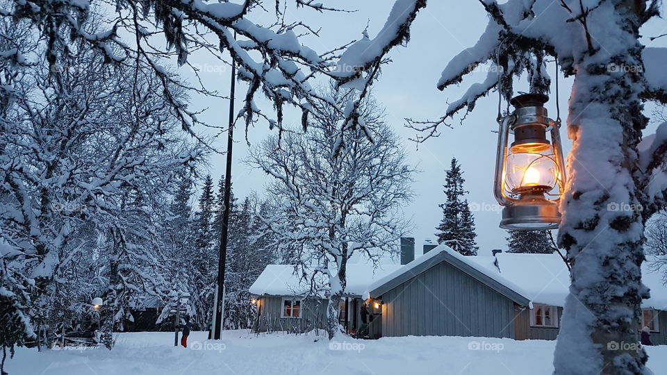Lovely mountain cabin