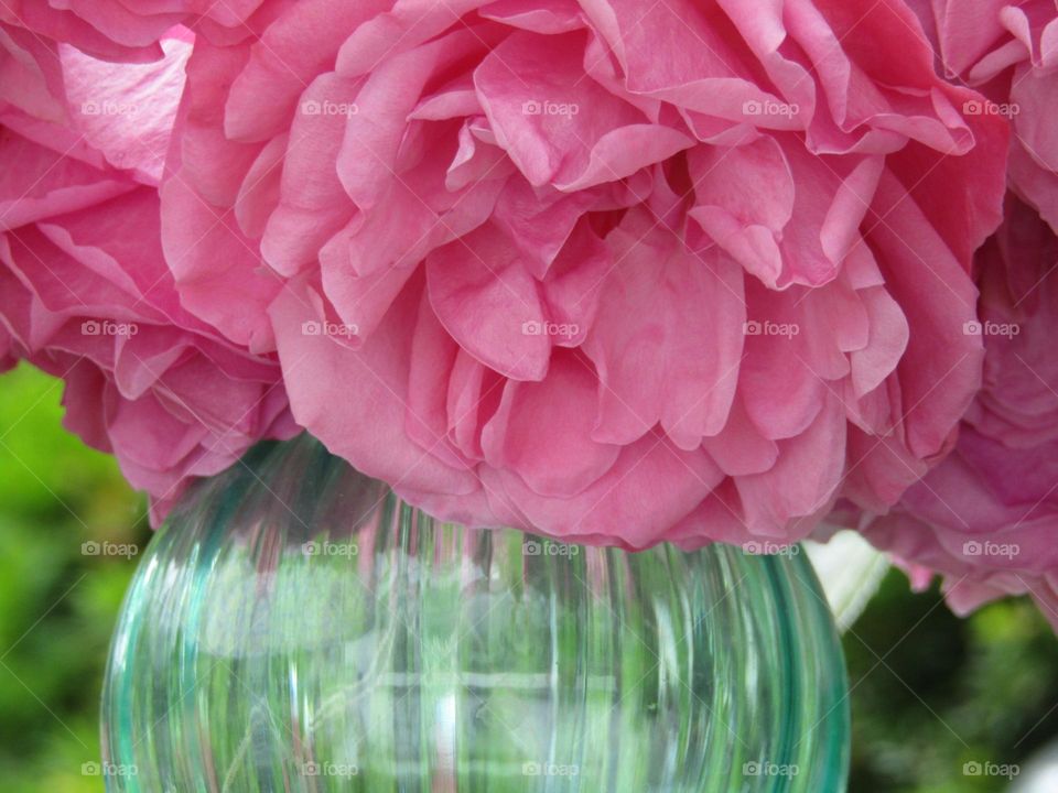 pink roses in a glass rose bowl