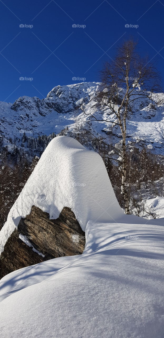 View on Mucrone mount