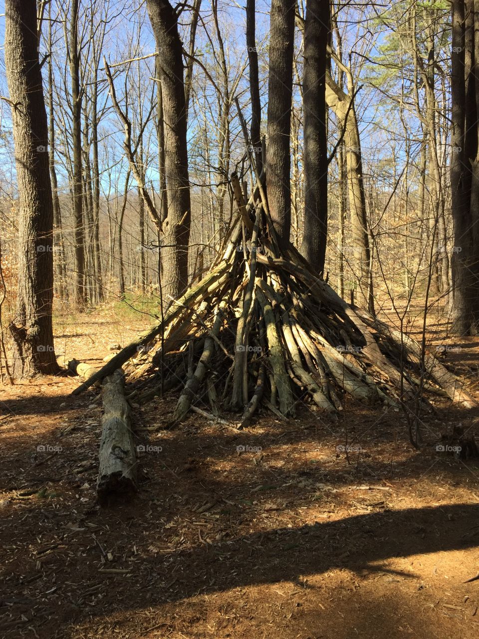 Found a teepee along the trail!
