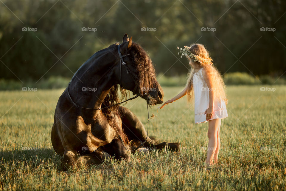 Little girl with black fresian stallion in summer evening 