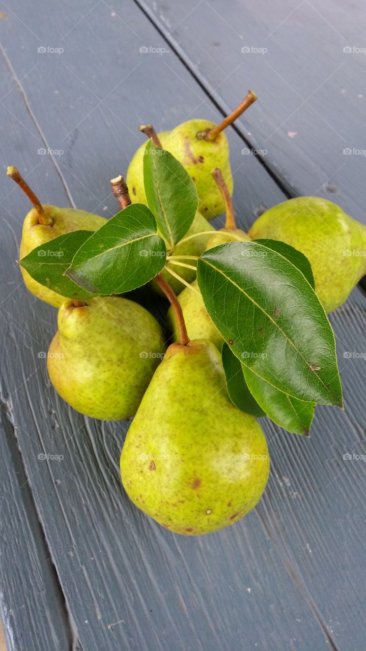 FreshPicked Pears