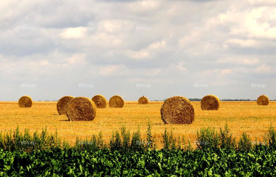 haystacks